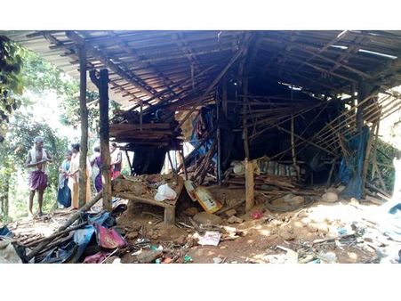 കാടിറങ്ങി കൊമ്പന്‍മാര്‍! അടിമാലിയിലെ ആദിവാസി മേഖലകളില്‍ കാട്ടാന ശല്ല്യം രൂക്ഷം