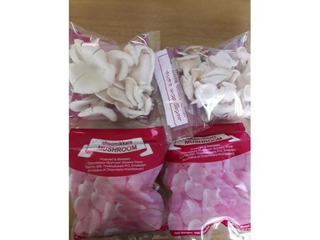 കൂണ്‍കൃഷിയില്‍ വിജയഗാഥയുമായി ചൂര്‍ണിക്കരയിലെ കര്‍ഷകര്‍;  'ചൂർണ്ണിക്കര കൂൺ' വിപണിയിലെത്തി തുടങ്ങി...