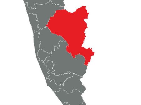 ഇടുക്കി 'മിടുക്കി' തന്നെ!!!ഏലക്കാടുകൾ വിയർക്കുന്നത് ഇത്തവണയും ചുവപ്പ് നിറത്തിലാകുമോ... അതോ, മൂവ‍ർണമോ