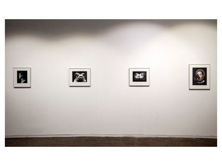 പെരുമ്പാമ്പുകളെ ശരീരത്തിലേക്ക് കയറ്റി വിട്ട് ഫോട്ടോഷൂട്ട്; നിര്‍വ്വികാരതയുടെ സൗന്ദര്യം ബിനാലെയിൽ