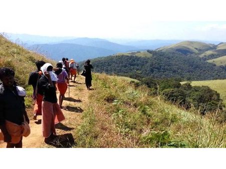 മകരജ്യോതിക്ക് വിലങ്ങായി മൂടല്‍മഞ്ഞ്; പുല്ലുമേട് ദര്‍ശന സാഫല്യം തേടിയെത്തിയത് ആയിരങ്ങള്‍ !!!