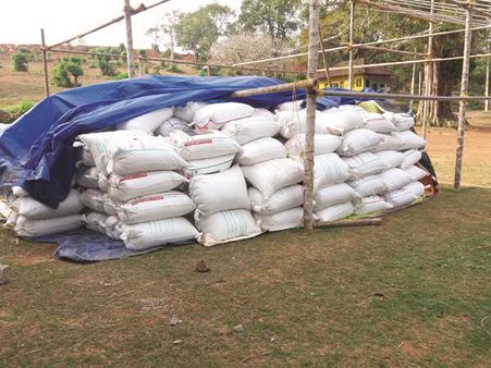 കൃഷിവകുപ്പിന്റെ അനാസ്ഥ: കുന്നംകുളത്ത് കൊയ്‌തെടുത്ത 80 ടണ്‍ നെല്ല് കെട്ടിക്കിടക്കുന്നു