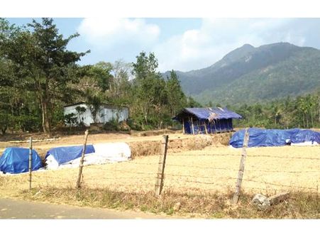 നെല്ല് സംഭരണം മുടങ്ങി: തിരുനെല്ലിയിലെ കര്‍ഷകര്‍ ദുരിതത്തില്‍; കൃഷിവകുപ്പ് അനാസ്ഥ തുടരുന്നു