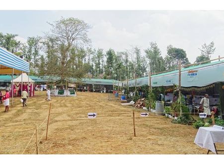 ഫെയര്‍ ട്രേഡ് അലയന്‍സ് കേരളയുടെ വിത്തുത്സവം ശ്രദ്ധേയമാവുന്നു: പ്രദര്‍ശനത്തില്‍ ആറായിരത്തോളം വിത്തിനങ്ങള്‍