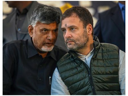 കേന്ദ്രത്തിനെതിരെ ഏകദിന സത്യാഗ്രഹം; ചന്ദ്രബാബു നായിഡു പൊടിച്ചത് ലക്ഷങ്ങൾ, രൂക്ഷ വിമർശനം