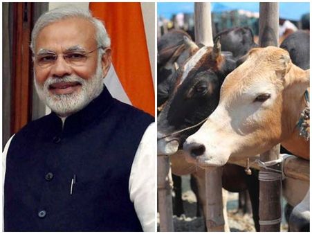 പശുസ്നേഹം കൈവിടാതെ കേന്ദ്ര ബജറ്റ്, പശുക്കൾക്കായി രാഷ്ട്രീയ കാമധേനു ആയോഗ് പദ്ധതി