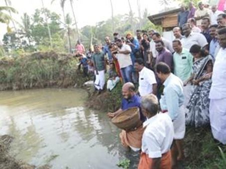 തരിശ് കൃഷി വ്യാപകമാക്കി നെല്ലുല്പാദനത്തില്‍ മികച്ച നേട്ടം; കോട്ടയം ജില്ല സംസ്ഥാനത്തിന് മാതൃകയാണെന്ന് കൃഷിവകുപ്പ് മന്ത്രി