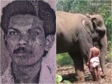 മലപ്പുറം കരുവാരക്കുണ്ടില്‍ ആനയുടെ ചവിട്ടേറ്റ് പാപ്പാന്‍ മരിച്ചു; രണ്ടാം പാപ്പാനാണ് മരിച്ചത്...