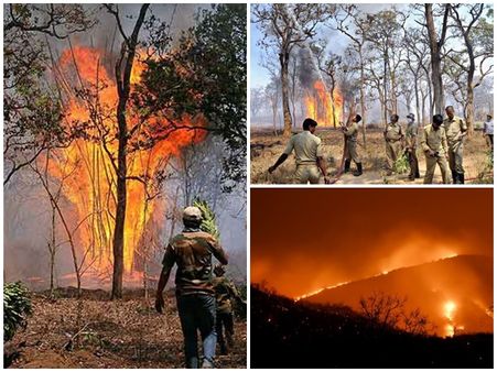 ബന്ദിപ്പൂരില്‍ വന്‍ കാട്ടുതീ; 600 ഏക്കറോളം വനം കത്തിനശിച്ചു; വയനാട്ടില്‍ സുരക്ഷാ നിര്‍ദ്ദേശം