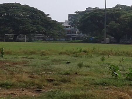 കോടികൾ ചിലവഴിച്ച മൈതാനങ്ങൾക്ക് സംരക്ഷണമില്ല; പശ്ചിമ കൊച്ചിയിലെ കളി മൈ താനങ്ങൾ സംരക്ഷണമില്ലാതെ നശിക്കുന്നു