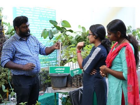 നമ്മുക്ക് പരിചയപ്പെടാം പൗര്‍ണ്ണമി ബുഷ് ഇനത്തിലെ കുരുമുളക് തൈകളെ...!!! ചെടിചട്ടിയില്‍ വളര്‍ത്താം ആറുമാസത്തിനകം വിളവെടുക്കാം...