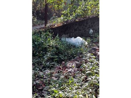 മല്ലപ്പള്ളിയില്‍ മാലിന്യത്തിനെതിരെ പൊതുജനം സജീവം; മാലിന്യം തള്ളുന്നവരെ കണ്ടെത്താന്‍ പാരിതോഷികം!!