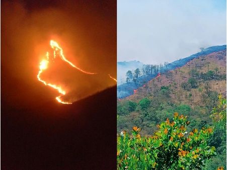 ബാണാസുര മലയില്‍ ഞായറാഴ്ചയും തീപിടുത്തം: കത്തിനശിച്ചത് ഹെക്ടര്‍ കണക്കിന് വനം, റവന്യൂ ഭൂമികളിലും!!