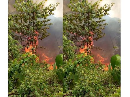 കര്‍ണാടക വനത്തിലെ കാട്ടുതീ: കൊളുത്തിയത് വനംമാഫിയയാണെന്ന് മലയോരവാസികള്‍