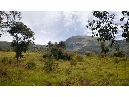 ഔഷധഗുണം കൊണ്ടും ഗുണമേന്‍മക്കൊണ്ടും മറയൂര്‍ ശര്‍ക്കരക്ക് ഭൗമ സൂചിക പദവി...!!!