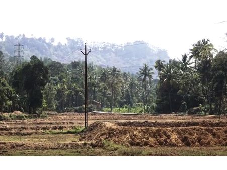 കതിരണിയാന്‍ ഒരുങ്ങി ആനവിരട്ടി പാടശേഖരം...!!! പ്രളയത്തിനുശേഷം പാടശേഖരം ഒരുക്കുമ്പോള്‍ കര്‍ഷകരും പ്രതീക്ഷയില്‍....!!!