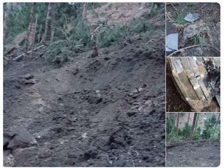 അപൂര്‍വ്വയിനം മരങ്ങള്‍ ബോംബിട്ട് നശിപ്പിച്ചു! ഇന്ത്യന്‍ വ്യോമസേന പൈലറ്റിനെതിരെ എഫ്ഐആര്‍