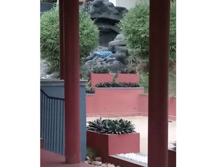 വയനാട്ടിലെ പൊലീസ്-മാവോയിസ്റ്റ് ഏറ്റുമുട്ടല്‍: റിസോര്‍ട്ടില്‍ നിന്നും ആളുകളെ ഒഴിപ്പിച്ചുതുടങ്ങി!!,