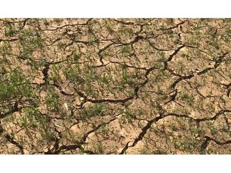 സൂര്യാഘാത സാധ്യത: ഇടുക്കിയില്‍ ജില്ലാ ദുരന്ത നിവാരണ അതോറിറ്റിയുടെ മുന്നറിയിപ്പ്!