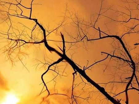 വരള്‍ച്ച നേരിടാന്‍ കടുത്ത നടപടികളുമായി പത്തനംതിട്ട ജില്ലാ ഭരണകൂടം; വിപുലമായ നടപടികള്‍ക്കു രൂപം നല്‍കി!