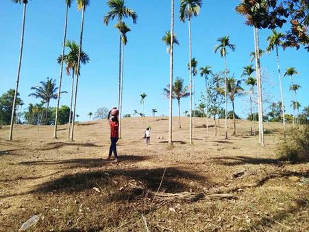 വയനാട് കടുത്ത വരള്‍ച്ചയിലേക്ക്: പ്രതിരോധ നടപടികളുമായി ജില്ലാഭരണകൂടം; കുഴല്‍കിണര്‍ നിര്‍മ്മാണം നിരോധിച്ചു; വാട്ടര്‍ കിയോസ്‌ക്കുകള്‍ ലഭ്യമാക്കാനും നടപടി