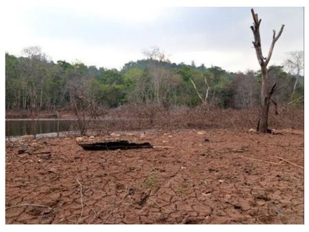 സൂര്യതാപം: കോഴിക്കോട്ട് 10 പേർ കൂടി ചികിത്സ തേടി, ഇതുവരെ 162, ചൂട് കനക്കുന്നു