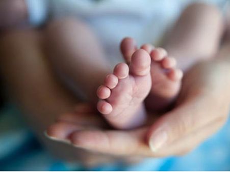 അമ്മത്തൊട്ടിലിൽ പുതിയ അതിഥി: അമ്മത്തൊട്ടിലിലെ അമ്മത്തൊട്ടിലിൽ ലഭിക്കുന്ന 124-ാമത്തെ അതിഥി!!