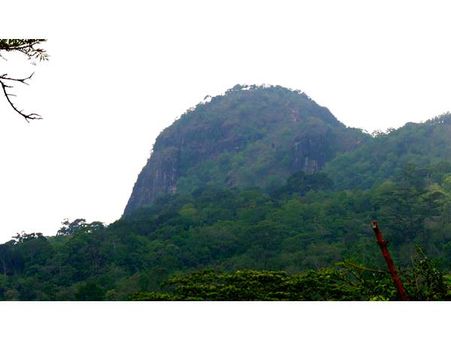 ബോണക്കാട് കുരിശുമല തീർത്ഥാടനം ഏപ്രില്‍ 10 മുതല്‍: 11 മണിക്ക് ബോണക്കാട്ടേക്ക് ജപമാല പദയാത്ര