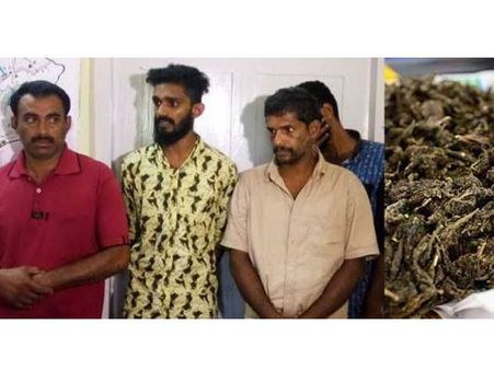 പോലീസിനു നേരെ കഞ്ചാവു മാഫിയുടെ ആക്രമണം. 4 പേര്‍ പിടിയില്‍; അക്രമണം നടത്താന്‍ ആയുധങ്ങളും!