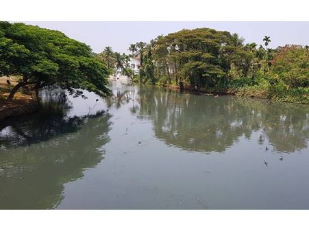 പെരിയാർ വീണ്ടും കറുത്ത് കലങ്ങി ഒഴുകി; കളമശേരി നഗരസഭയുടെ അനാസ്ഥയെന്ന് പിസിബി