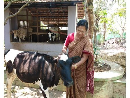 വിശ്രമജീവിതം ഹരിതാഭമാക്കി സരളാഭായി ടീച്ചര്‍: ഫലവൃക്ഷങ്ങളുടെയും ജൈവപച്ചക്കറിയുടെയും വിളനിലമായി 'സൂര്യകാന്തം'
