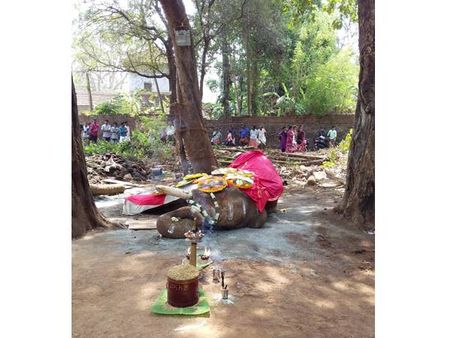 കൊച്ചിന്‍ ദേവസ്വത്തിന്റെ കൊമ്പന്‍ ബലരാമന്‍ ചരിഞ്ഞു