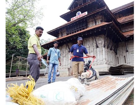 ആകാശം നിറയെ കരിമരുന്നിന്റെ വര്‍ണ വിസ്മയം തീര്‍ത്ത് നാളെ തൃശൂര്‍പൂരം സാമ്പിള്‍ വെടിക്കെട്ട്; തിരുവമ്പാടി വിഭാഗങ്ങള്‍ കാത്തുവച്ച പുത്തന്‍ ഇന്ദ്രജാലങ്ങളാണ് സാമ്പിള്‍ വെടിക്കെട്ടില്‍ മാനത്ത് ദൃശ്യമാകുക!