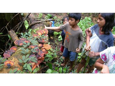 പ്ലാവില തൊപ്പിയും ഓലപീപ്പിയും ഓലപ്പന്തും കണ്ണാടിയുമൊക്കെ നിർമ്മിച്ച് വെള്ളാവൂര്‍ പഞ്ചായത്തിലെ കുട്ടികള്‍; പ്രകൃതിയോട് കൂട്ടുകൂടി കുട്ടികളുടെ അവധിക്കാല ക്യാംപ്!!