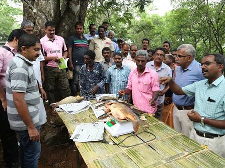 ഇടുക്കി അണക്കെട്ടിലെ മീനുകളുടെ രുചിയറിയാം: ശുദ്ധജല മത്സ്യങ്ങളുടെ ബുക്കിംഗ് ഇനി വാട്‌സപ്പിലൂടെ!!