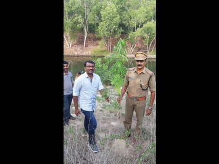 പാർവതി പുത്തനാറിന്റെ തീരത്ത് രണ്ട് മീറ്റർ നീളമുള്ള കഞ്ചാവ് ചെടികൾ കണ്ടെത്തി; വിവിധ വളർച്ചയിലുള്ള അഞ്ചോളം കഞ്ചാവ് ചെടികൾ കണ്ടെത്തി നശിപ്പിച്ചു!!