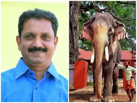 ആനപ്രേമിയല്ല; എന്നിട്ടും എന്തുകൊണ്ട് രാമചന്ദ്രന് വേണ്ടി ഇടപെടുന്നുവെന്ന് വ്യക്തമാക്കി സുരേന്ദ്രന്‍