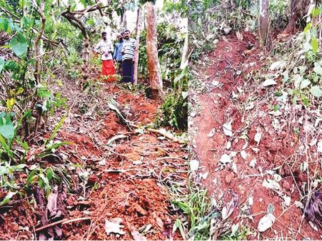 ഇടിമിന്നലില്‍ മാനന്തവാടിയില്‍ ഭൂമി വിണ്ടുകീറി; മരങ്ങളും കരിഞ്ഞ നിലയില്‍; വയറിംഗ് ഇലക്‌ട്രോണിക് ഉപകരണങ്ങള്‍ താറുമാറായി