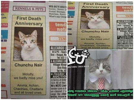 'ചുഞ്ചു നായര്‍' വെറുമൊരു 'നായര്‍' പൂച്ചയല്ല.... 18 വര്‍ഷം കൂടെയുണ്ടായിരുന്നു മകള്‍