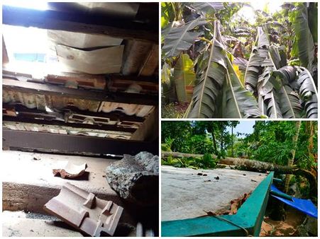 നാശം വിതച്ച് വേനല്‍ മഴ: കനത്ത കാറ്റും കൃഷിനാശവും, തൃശൂരില്‍ വൈദ്യുതി ബന്ധം താറുമാറായി!!