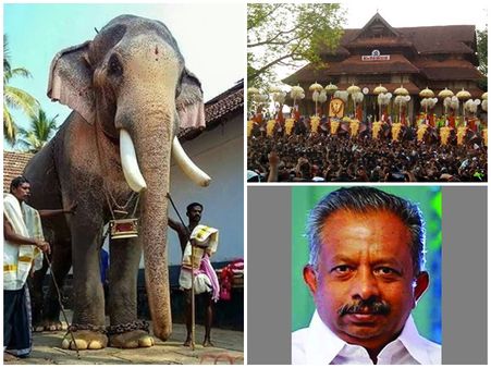 ആവേശപ്രകടനമല്ല സുരക്ഷയാണ് പ്രധാനം: തെച്ചിക്കോട് രാമചന്ദ്രനെ ഇറക്കുന്നത് അഭികാമ്യമല്ലെന്ന് വനംമന്ത്രി