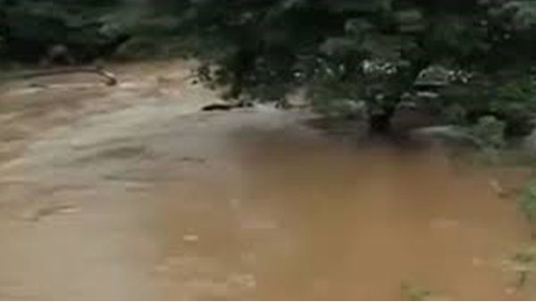 സുബൈദയ്ക്ക് സർക്കാർ സഹായം ലഭിച്ചില്ലെന്ന വാര്‍ത്ത ശരിയല്ലെന്ന് ജില്ലാ കലക്റ്റര്‍; വീടിനും സ്ഥലത്തിനും അർഹതയുണ്ട്... വേണ്ടെന്ന് പറഞ്ഞത് സുബൈദ!!