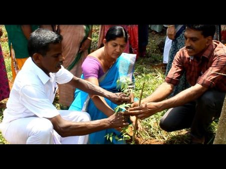 പരിസ്ഥിതി ദിനത്തില്‍ പച്ചത്തുരുത്ത് ഒരുക്കി കുടയത്തൂര്‍; പച്ചത്തുരുത്തില്‍ ഔഷധ ചെടികളും !