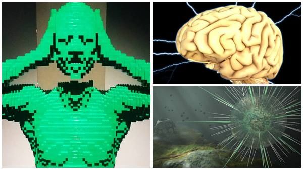 അന്ന് യുപിയില്‍, ഇന്ന് ബിഹാറില്‍... കുട്ടികളെ കൊന്നൊടുക്കുന്ന 'കാലന്‍ രോഗം'; എന്താണ് ഈ എൻസെഫലൈറ്റിസ്