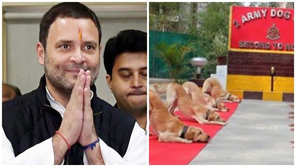 രാഹുൽ ഗാന്ധി സൈന്യത്തെ അവഹേളിച്ചെന്ന് ബിജെപി നേതാക്കൾ; യോഗാ ദിനത്തിലെ ട്വീറ്റ് വിവാദത്തിൽ