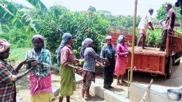 കുടിയേറ്റമേഖലയിലെ വരള്‍ച്ചാ ലഘൂകരണ പദ്ധതി; ഹരിതവേലികള്‍ സ്ഥാപിക്കുന്ന പ്രവൃത്തികള്‍ ബുധനാഴ്ച തുടങ്ങും, കബനീതീരത്ത് നട്ടുപിടിപ്പിക്കുന്നത് പതിനായിരം വൃക്ഷത്തൈകള്‍!!