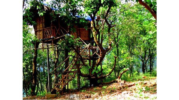 യോഗ്യതയുണ്ടായിട്ടും ജോലി തേടിപോകാതെ ആദിവാസി യുവാക്കള്‍ ഉന്നത വിദ്യാഭ്യാസക്കാരെ തേടി സര്‍ക്കാര്‍ ഊരുകൂട്ടങ്ങളിലേക്ക്