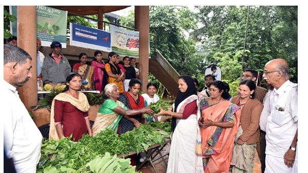 കര്‍ക്കിടകത്തിലെ ഇലപ്പെരുമ: കല്‍പ്പറ്റയില്‍ പത്തിലച്ചന്തക്ക് തുടക്കമായി; ജൂലൈ 27ന് സമാപിക്കും