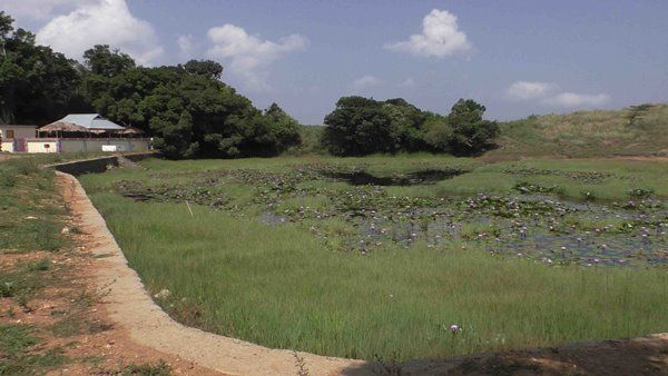 പ്രകൃതി മനോഹാരിതയുടെ മടിത്തട്ടായി കാറ്റൂതി മേട്... പിന്നെ ഇത്തിരി ഐതിഹ്യവും, വിദൂര കാഴ്ചകളും..