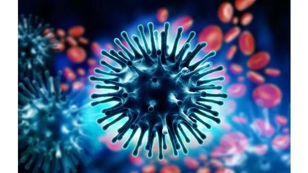 റാന്നിയില്‍ എലിപ്പനി ബാധിച്ച് രണ്ട് സ്ത്രീകള്‍ മരിച്ചു: മരണം സംഭവിച്ചത് മെഡിക്കല്‍ കോളേജില്‍ വെച്ച്